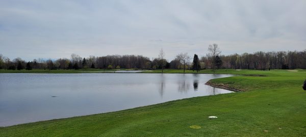 6/07/2021 – Week 6