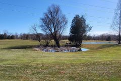 Spring 2022 - Hole #08 Swamp