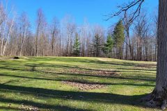 Spring 2022 - Hole #15 Green