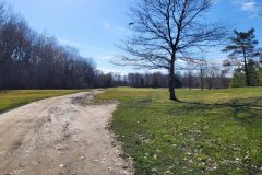 Spring 2022 - Hole #17 Tee